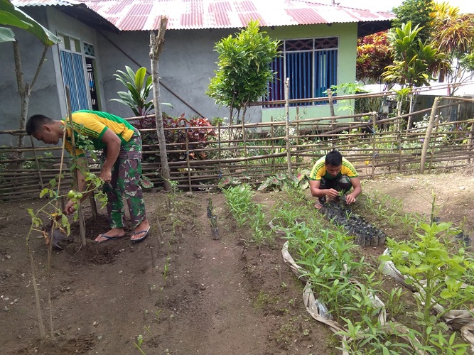 Galakkan Ketahanan Pangan untuk Menghadapi Pandemi oleh Satgas Yonarmed 9 Kostrad di Desa Kabau