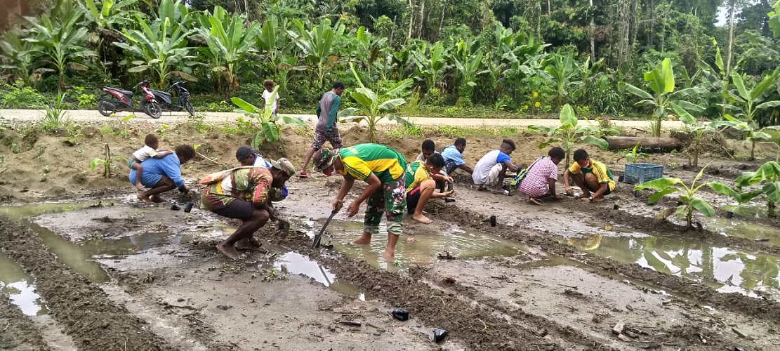 Satgas Yonif MR 413 Kostrad Mengajarkan Warga Tanam Semangka di Kampung Mosso