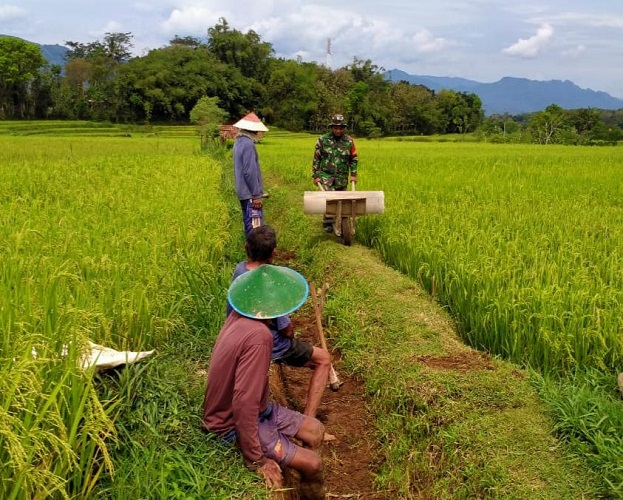Agar Irigasi Lancar Mengairi Sawah, Ini yang Dilakukan Babinsa Bersama Warga Sukomangu