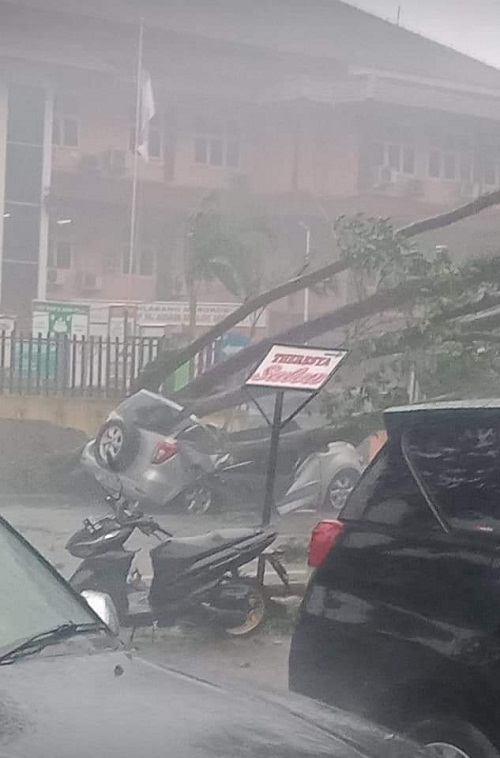 Angin Kencang Akibatkan Pohon Tumbang dan Memakan Korban Jiwa di Medan