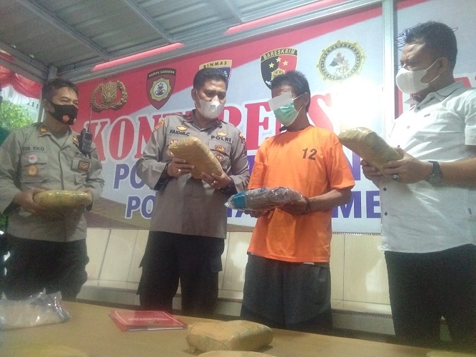 Polsek Medan Area Ringkus Diduga Bandar Ganja