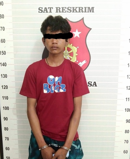 Kabur ke Bukit Tinggi, Polres Toba Ringkus Otak Pelaku Pembunuhan Guru SD di Lumban Lobu