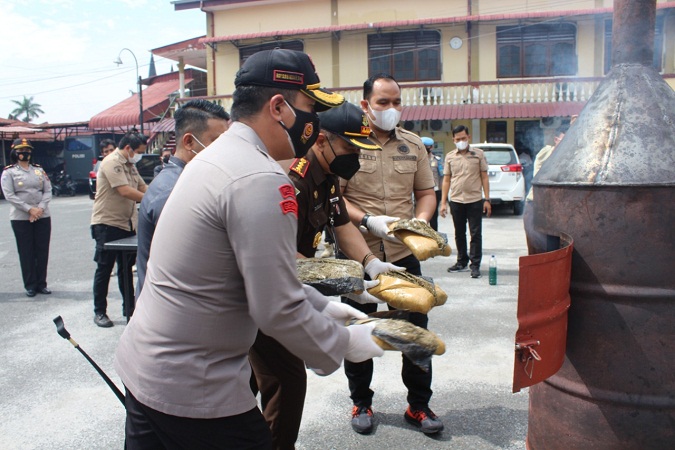Polres Pematangsiantar Memusnahkan Barang Bukti Ganja