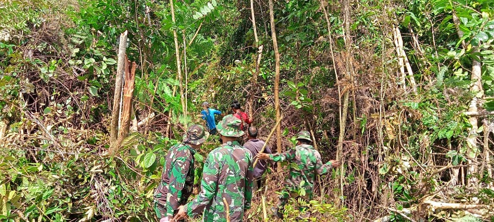 Gunakan Alat Berat, Hutan dan Bukit di Desa Aornakan 2, Ditebas oleh Satgas