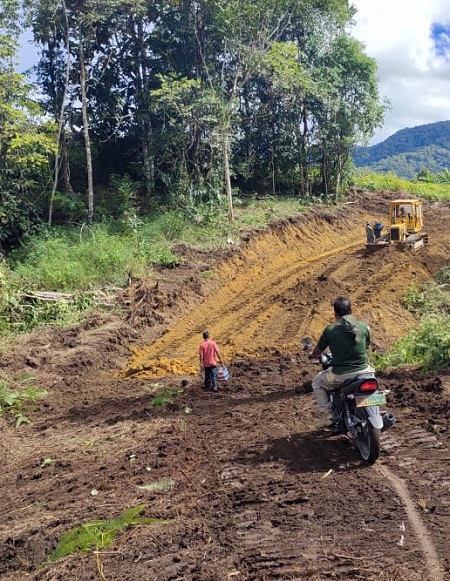 TNI Datang, Petani Gambir di Pakpak Bharat Akan Sejahtera