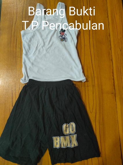 Diduga 4 Kali Cabuli Anak Tiri, Pria Ini Diringkus Sat Reskrim Polres Rohil