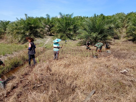 Lestarikan Budaya Dayak Nugal Padi Anggota Satgas Yonif 144/JY Beserta Warga