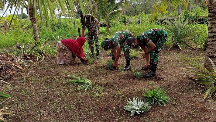 Anggota Satgas Kodim Maluku Yonarhanud 11/WBY Bantu Warga Masyarakat dalam Kegiatan Ketahanan Pangan
