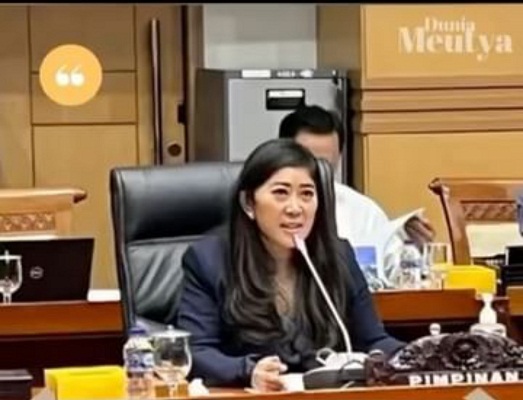 Ketua dan 5 Anggota Komisi I DPR Positif COVID-19, Rapat Ditiadakan Sementara