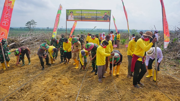 Wakil Bupati Hadiri Penanaman Program Ketahanan Pangan Kodim 0321 Rohil