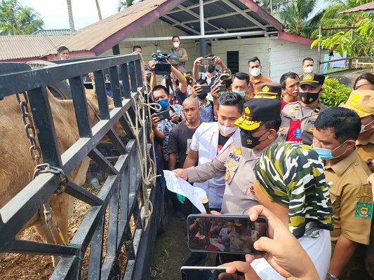 Kapolda Sumut Sidak Peternakan Sapi dalam Pencegahan Penyebaran PMK
