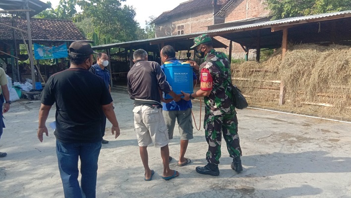 Semprot Disinfektan Kandang Sapi