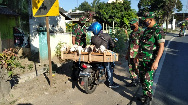 Anggota Koramil Kademangan Menggelar Penyekatan Kendaraan Pengangkut Hewan Ternak