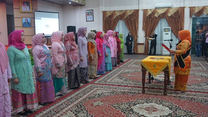 Bupati Melantik Pokja Bunda PAUD Kabupaten Rohil