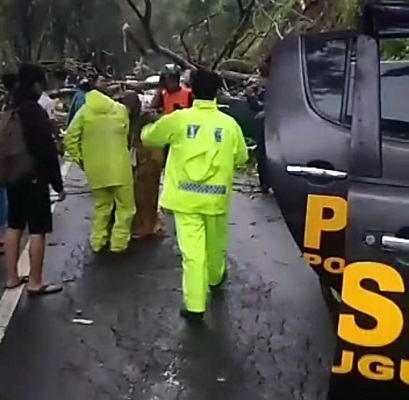 Dua Mobil Hancur Tertimpa Longsor di Perbatasan Jalur Pegunungan Ponorogo - Trenggalek