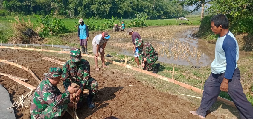 Babinsa Koramil Mojosongo Membantu Betonisasi Jalan Pertanian