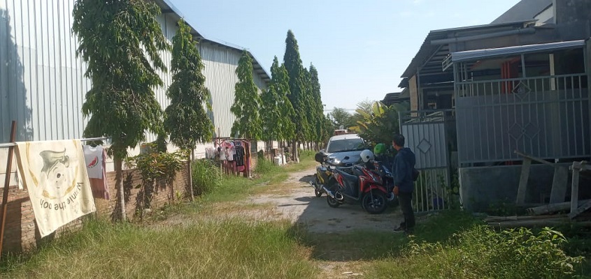 Puluhan Warga Madiun 'Klepeg-klepeg', Terserang Polusi Industri Porang PMA China