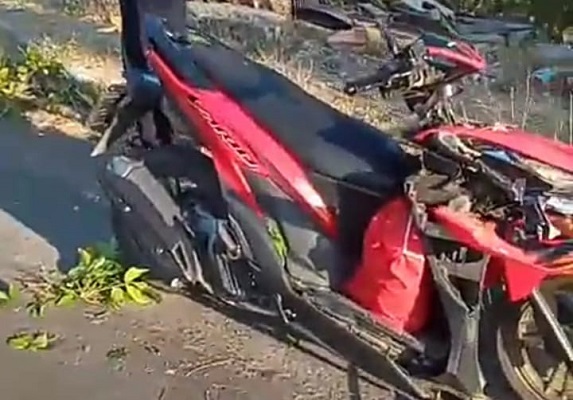 Terjadi di Madiun, Gadis Pengendara Motor Tewas Tertimpa Pohon Tumbang