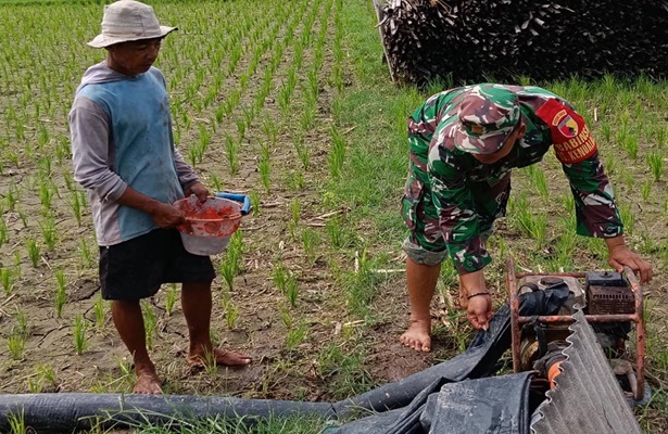 Jaga Tersedia Air, Babinsa Kendalrejo Mendampingi Pengaliran Pompa Air Pok Tani Sari Murni