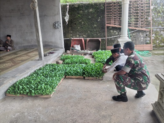 Babinsa Selo Motivasi Para Petani Sayur Wonodoyo