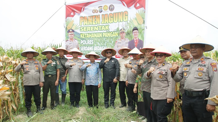 Kapolres Sergai Bersama Forkopimda Melaksanakan Giat Panen Raya Jagung Serentak Kuartal II tahun 2025
