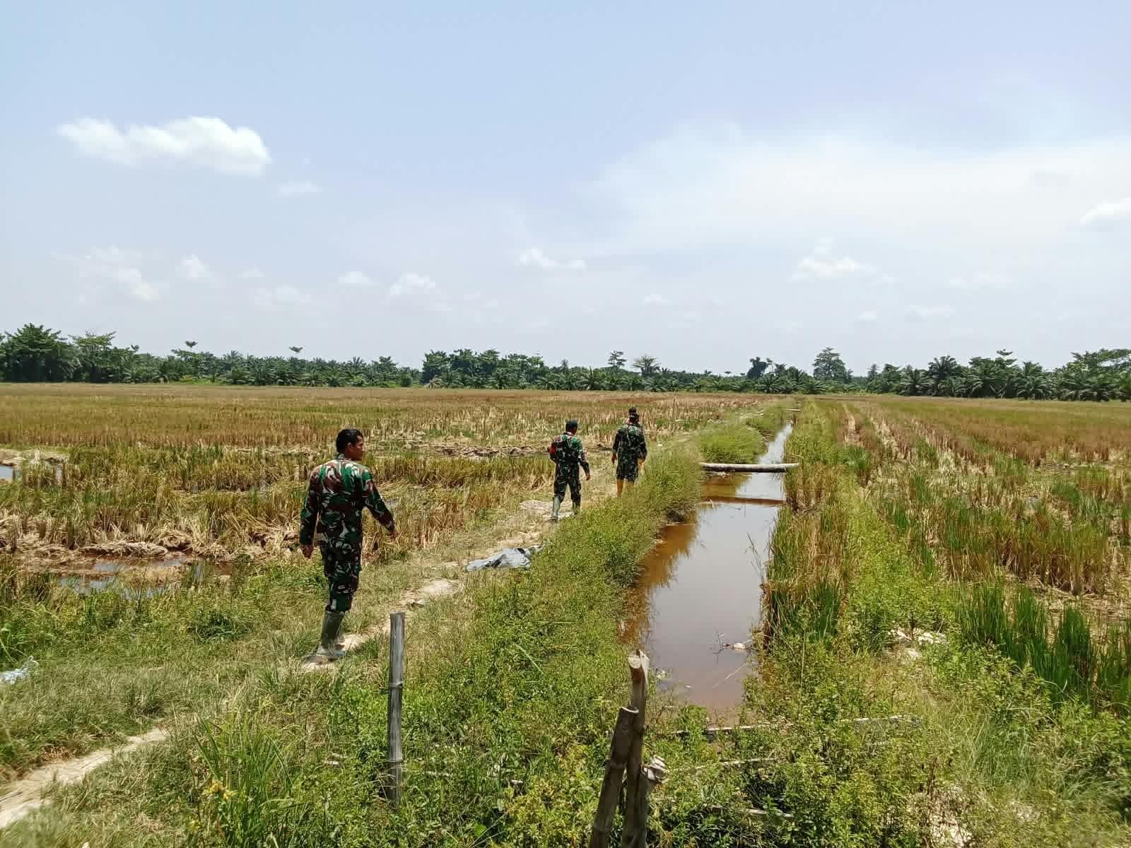 Cegah Karhutla, Kodim 0209Labuhanbatu Perkuat Upaya Mitigasi dan Pantauan Hotspot
